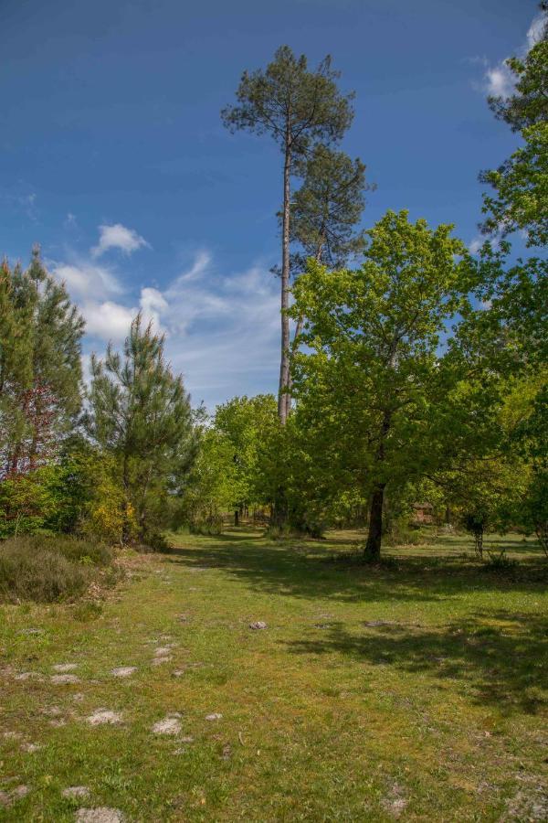 Le Gahoun - Chambres D'Hotes Castets Dış mekan fotoğraf